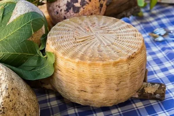 Formaggi e pecorino del Marghine