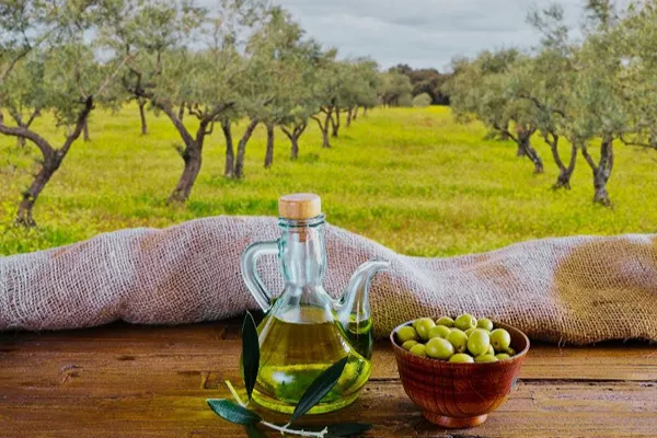 Olio extravergine d'oliva sardo con olive fresche