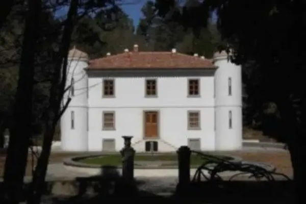 Bosco di Badde 'E Salighes