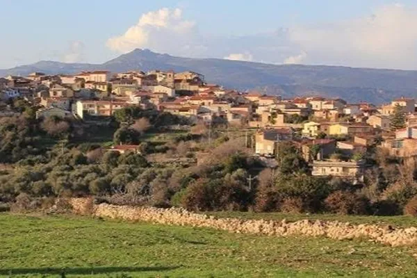 Museo del Vino di Magomadas